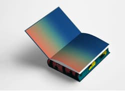 Galeria - zdjęcie nr. 4 - Holly (ilustrowane brzegi)