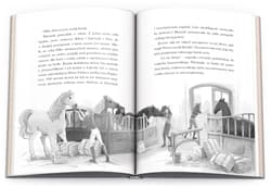 Galeria - zdjęcie nr. 4 - Horse Club Niesamowity Jeździec CBH-8401