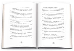 Galeria - zdjęcie nr. 5 - Horse Club Niesamowity Jeździec CBH-8401