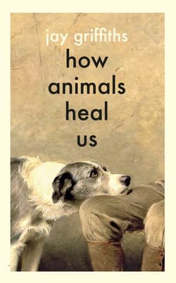 How Animals Heal Us wer. angielska - Jay Griffiths