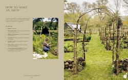 Galeria - zdjęcie nr. 3 - How Does Your Garden Grow?