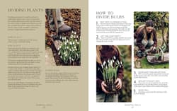 Galeria - zdjęcie nr. 4 - How Does Your Garden Grow?