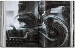 Galeria - zdjęcie nr. 2 - HR Giger wer. angielska