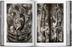 Galeria - zdjęcie nr. 3 - HR Giger wer. angielska