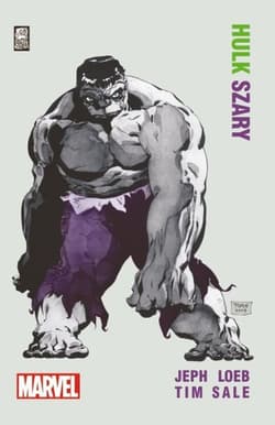 Hulk Szary - Tim  Sale, Jeph Loeb