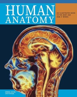 Human Anatomy wer. angielska - Jane de Burgh