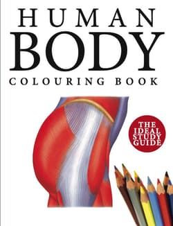 Human Body Colouring Book wer. angielska - Peter Abrahams