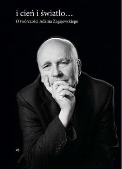 I cień i światło O twórczości Adama Zagajewskiego - Anna Czabanowska-Wróbel
