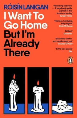 I Want To Go Home But I'm Already There - Róisín Lanigan
