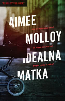 Idealna matka - ebook - Molloy Aimee
