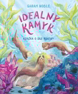 Idealny kamyk. Książka o sile rodziny - Sarah Noble