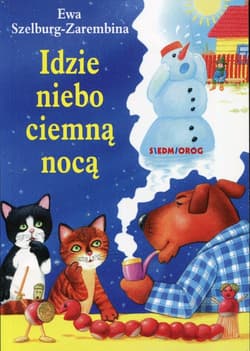 Idzie niebo ciemną nocą - Ewa Szelburg-Zarembina