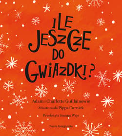 Galeria - zdjęcie nr. 5 - Ile jeszcze do Gwiazdki?