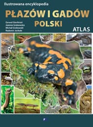 Ilustrowana encyklopedia płazów i gadów polski atlas - Gerard Gierliński