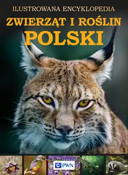 Ilustrowana encyklopedia zwierząt i roślin Polski - Opracowanie Zbiorowe