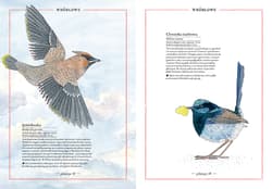 Galeria - zdjęcie nr. 2 - Ilustrowany inwentarz ptaków