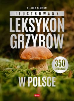 Ilustrowany leksykon grzybów w Polsce - Kamiński Wiesław