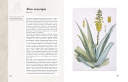 Galeria - zdjęcie nr. 3 - Ilustrowany zielnik Hildegardy z Bingen