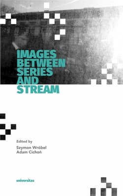 Images Between Series and Stream - Cichoń Adam, Wróbel Szymon