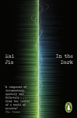 In the Dark - Mai Jia