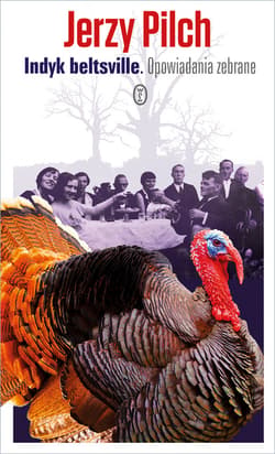 Indyk beltsville - ebook - Jerzy Pilch