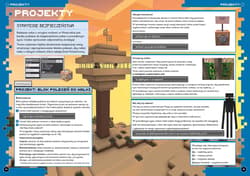 Galeria - zdjęcie nr. 3 - Informatyka i programowanie. Megazadania. 7-11 lat. Minecraft