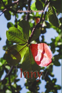 Inny - Aleksandra J. Starostecka