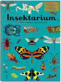 Insektarium. Muzeum Owadów. W Muzeum - Dave Goulson