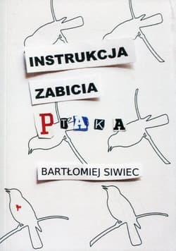 Instrukcja zabicia ptaka - Bartłomiej Siwiec