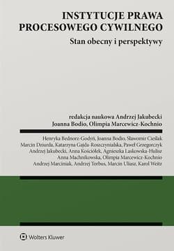 Instytucje prawa procesowego cywilnego. Stan obecny i perspektywy - Praca zbiorowa