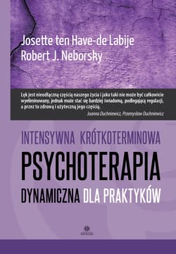 Intensywna krótkoterminowa psychoterapia dynamiczna dla praktyków - ten Have-de Labije Josette, Neborsky Robert J.