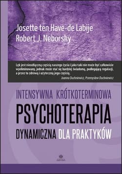Intensywna krótkoterminowa psychoterapia dynamiczna dla praktyków - ten Have-de Labije Josette, Neborsky Robert J.