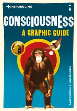 Introducing Consciousness - Papineau David