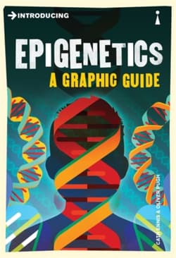 Introducing Epigenetics - Ennis Cath