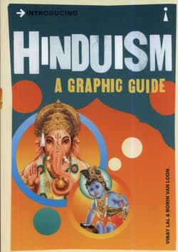 Introducing Hinduism - Vinay Lal