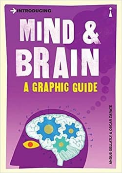 Introducing Mind and Brain A Gr