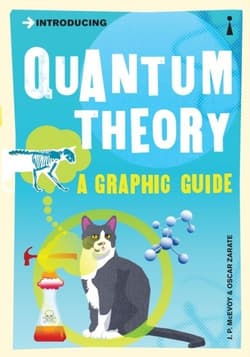 Introducing Quantum Theory a g