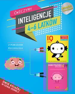 IQ Inteligencja logiczna i rozwój mózgu dla 4-6 latków z poradami psychologa. Książki z naklejkami. - Praca zbiorowa