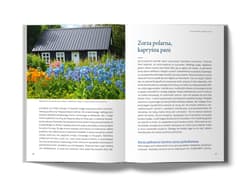 Galeria - zdjęcie nr. 3 - Islandia. Historie pisane wiatrem