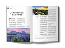 Galeria - zdjęcie nr. 5 - Islandia. Pascal gold