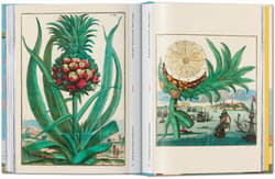 Galeria - zdjęcie nr. 4 - J. C. Volkamer. The Book of Citrus Fruits. 45th Ed.