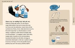 Galeria - zdjęcie nr. 4 - Ja Co to takiego?