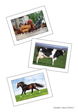 Galeria - zdjęcie nr. 3 - Ja i mój świat 2 Piosenki i zabawy komplet