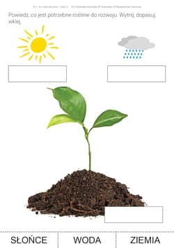 Galeria - zdjęcie nr. 3 - Ja i moje otoczenie Część 3 i 4 Karty pracy dla uczniów z niepełnosprawnością intelektualną JA I MOJE OTOCZENIE