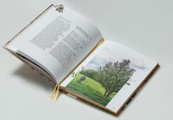 Galeria - zdjęcie nr. 2 - Jabłonki swawole