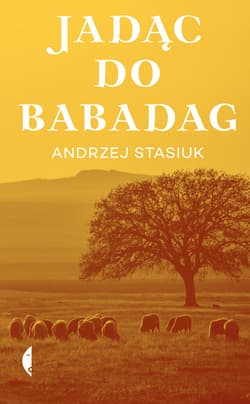 Jadąc do Babadag - ebook - Andrzej Stasiuk