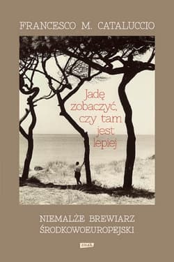 Jadę zobaczyć, czy tam jest lepiej - Francesco Cataluccio