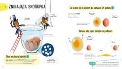 Galeria - zdjęcie nr. 4 - Jajko. Akademia mądrego dziecka. Przygody z nauką