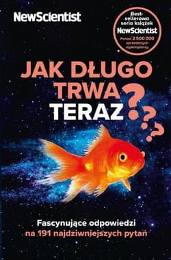 Jak długo trwa teraz?