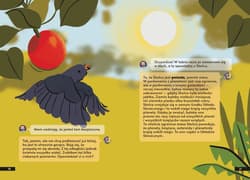 Galeria - zdjęcie nr. 3 - Jak działa kosmos?